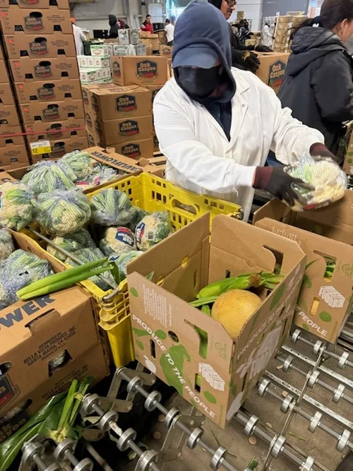 Packing Produce Boxes Imperial Valley packing facility